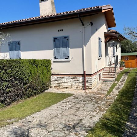 Casa Patrizia Apartment Torri Del Benaco Ngoại thất bức ảnh